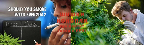 мяу мяу мука Снежинск
