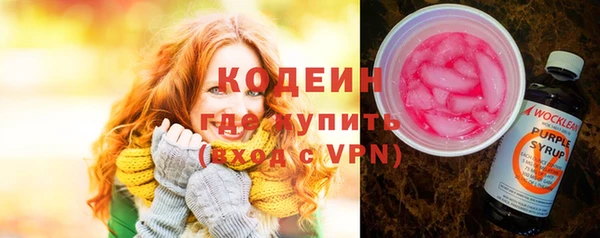 прущие грибы Богданович